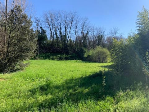 Green Woods Apartment in Verona