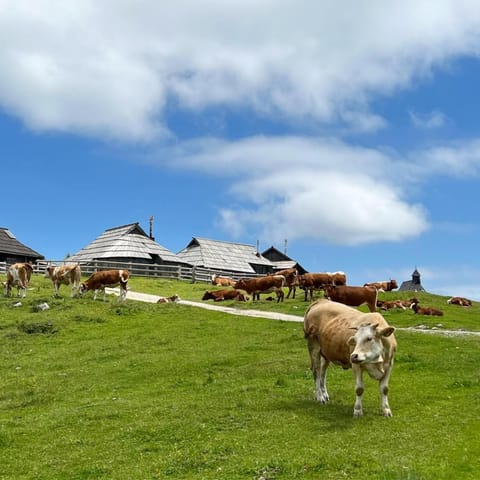Day, Natural landscape