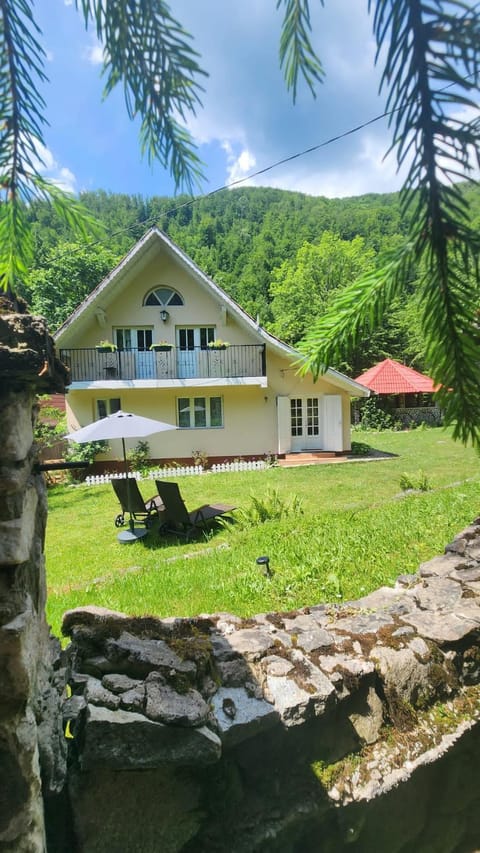 Day, Garden view