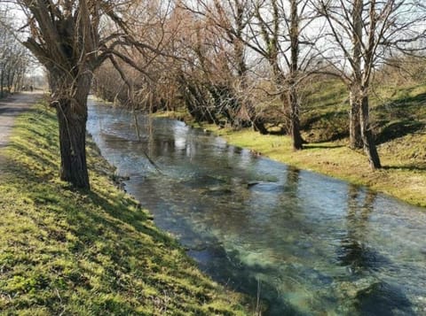 Apartman Pejić Apartment in Podstrana