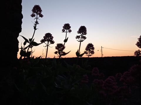 Natural landscape, Sunrise