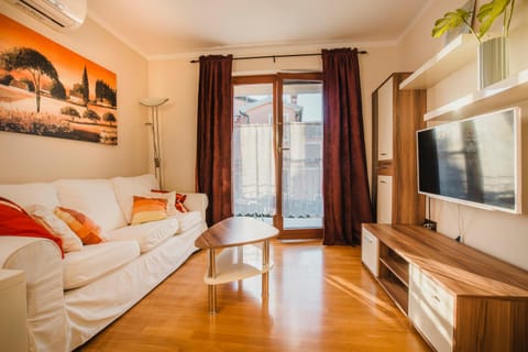 TV and multimedia, Living room, Seating area, Evening entertainment, air conditioner