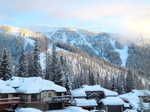 Moose Tree Lodge House in Whitefish