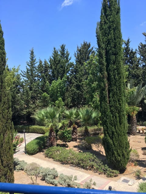 Garden, Garden view