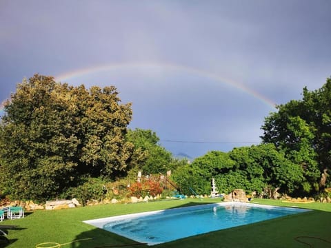 Garden, Swimming pool, Swimming pool