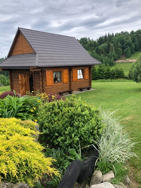 Property building, Summer, Garden