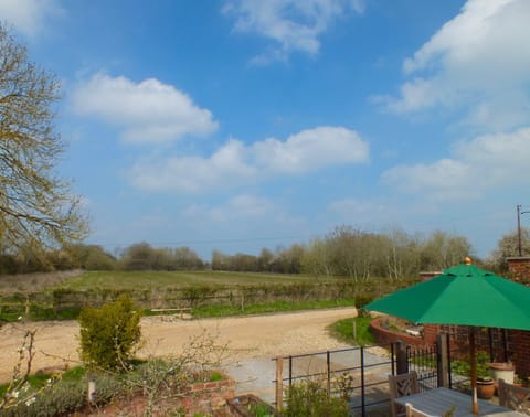 Day, Natural landscape, Garden view