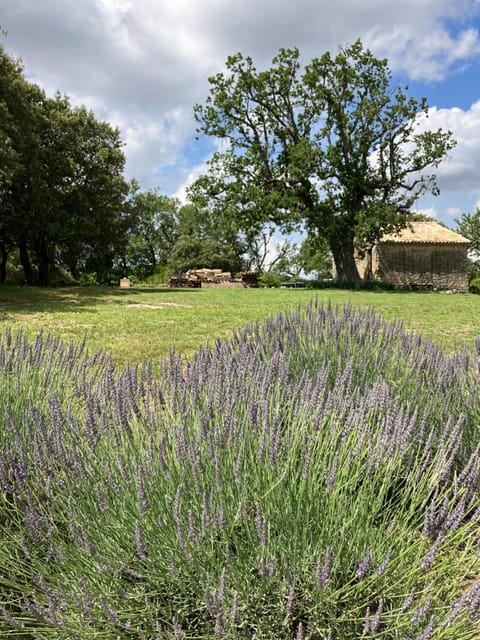La bastide des Roman House in Provence-Alpes-Côte d'Azur
