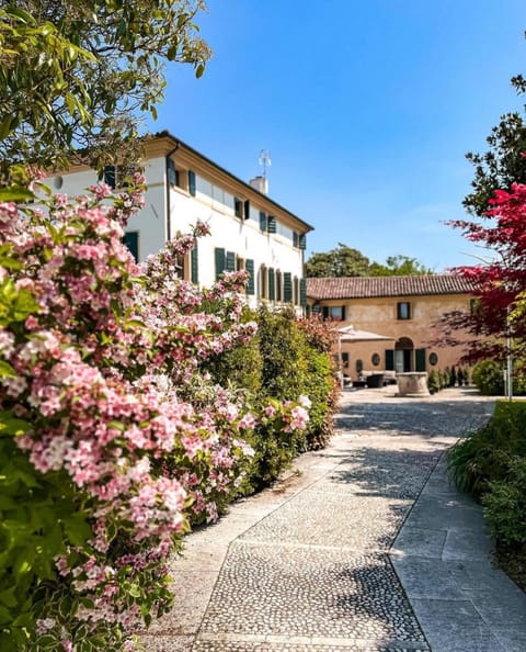 Spring, Day, Garden, Garden, View (from property/room), Garden view, Inner courtyard view, Inner courtyard view
