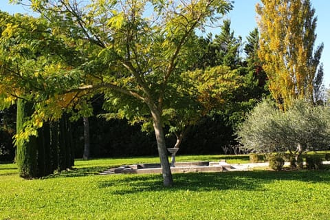 Le Mas de Jalique - Isle-sur-la-Sorgue House in L'Isle-sur-la-Sorgue