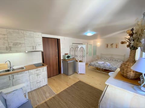Kitchen or kitchenette, Living room, Photo of the whole room, Bedroom