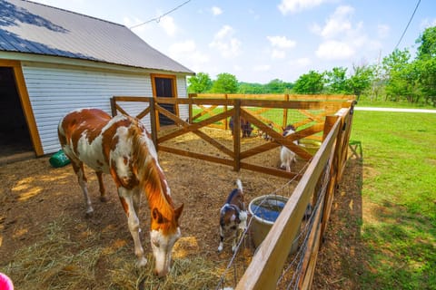 Spacious Missouri Vacation Rental with Fire Pit! House in Ozark Mountains