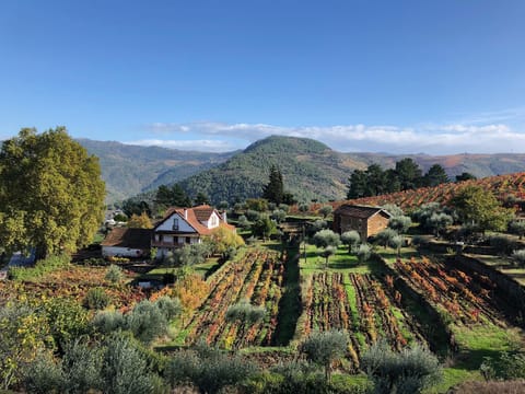 Natural landscape, Mountain view