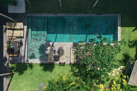 Day, Garden, Swimming pool