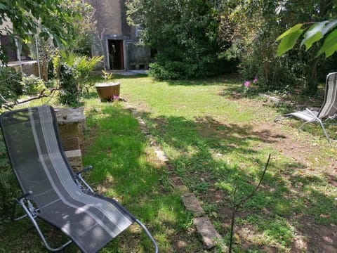 Summer, Garden, sunbed