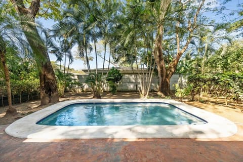 Day, Garden, Garden view, Pool view, Swimming pool