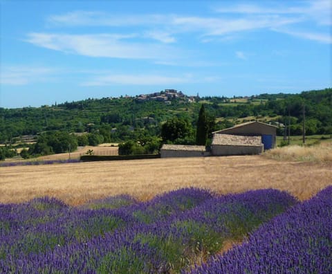 Natural landscape, Mountain view