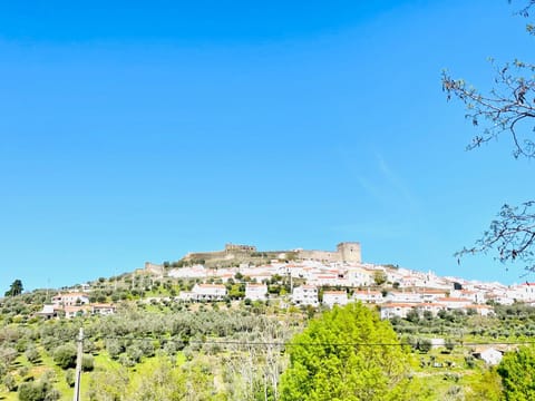 Landmark view