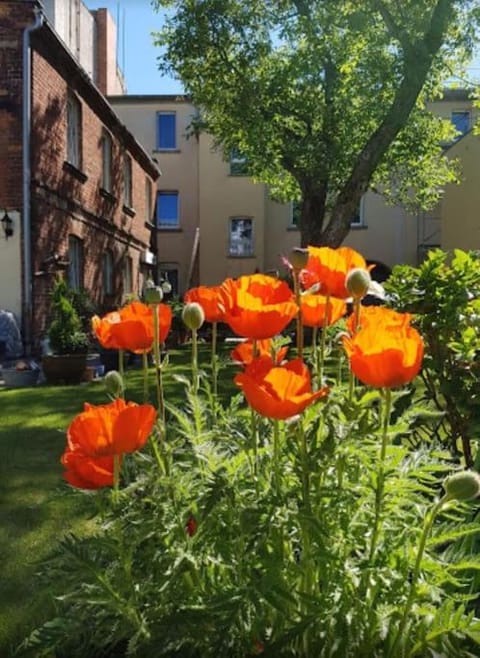 Garden, Garden view