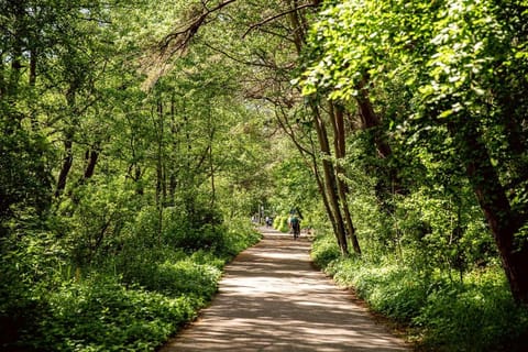 Day, Natural landscape