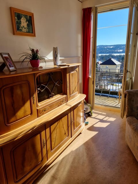 View (from property/room), Balcony/Terrace, Living room