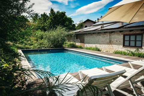 Garden, Swimming pool, sunbed