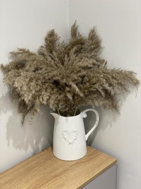 Quirky cottage in the centre of Penrith with a Hot Tub House in Penrith