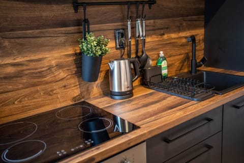 Dora Apartment in Serbia