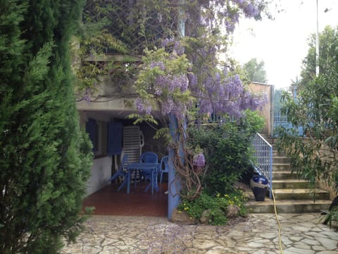 Day, Garden view