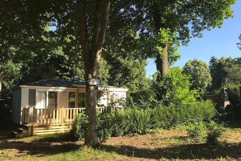 Natural landscape, Garden, Garden view
