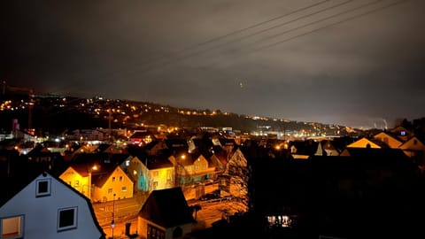 Night, Garden, City view
