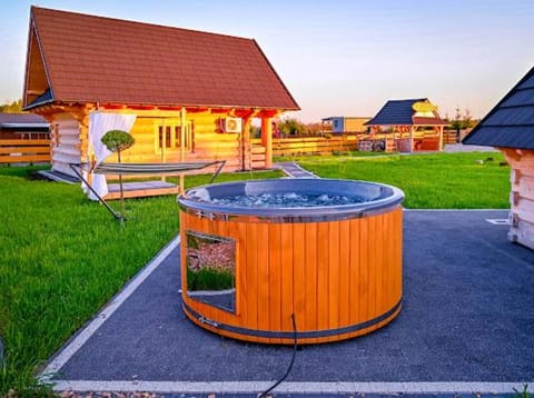 Nini House Dudki Villa in Lithuania