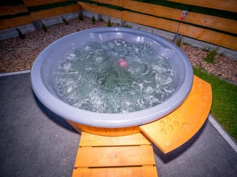 Nini House Dudki Villa in Lithuania