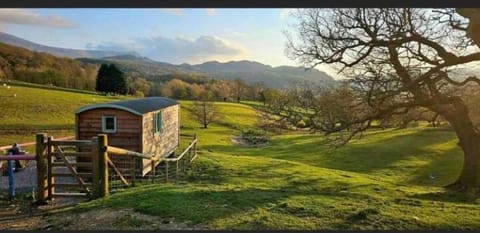 Shepherds hut Lowri Campground/ 
RV Resort in Wales