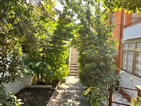 Property building, Garden