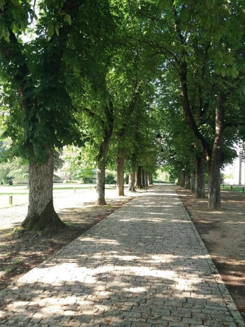Chateau d'ayron House in Centre-Val de Loire