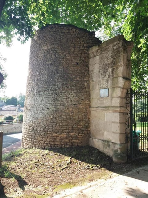 Chateau d'ayron House in Centre-Val de Loire