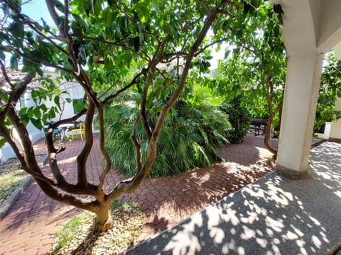 Natural landscape, Garden, Garden view