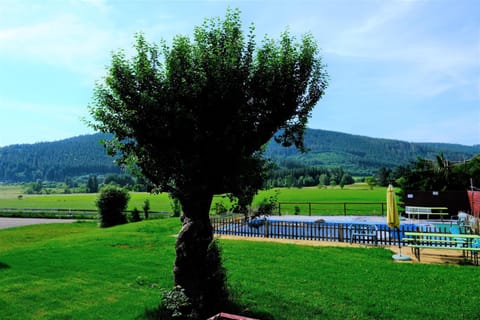 Garden, Garden, Garden view, Swimming pool