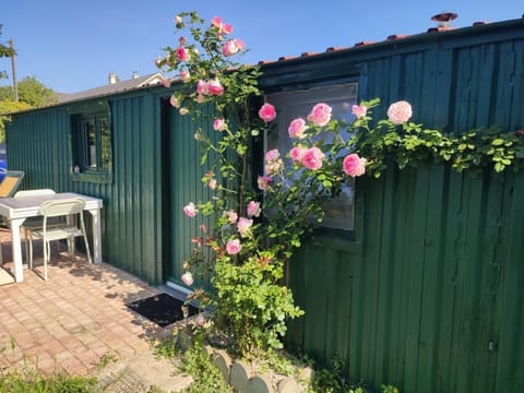 Patio, Spring, Day, Garden
