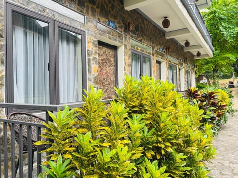 Day, Garden, Garden view