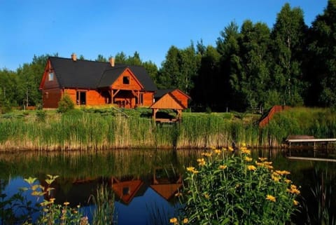 Natural landscape, River view