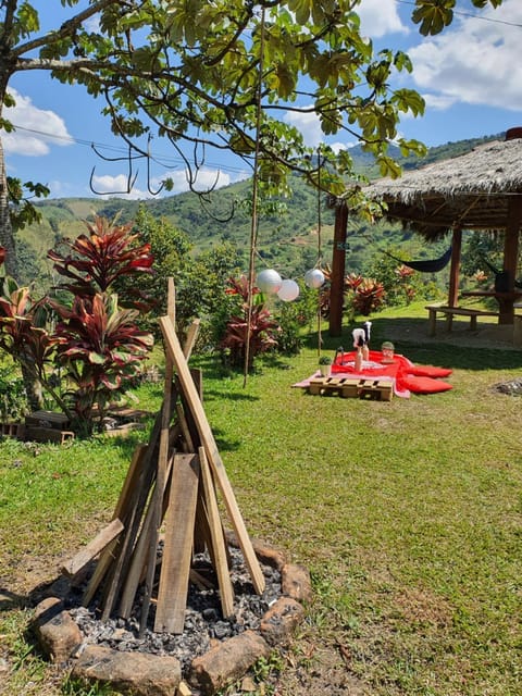 Natural landscape, Garden, Garden view