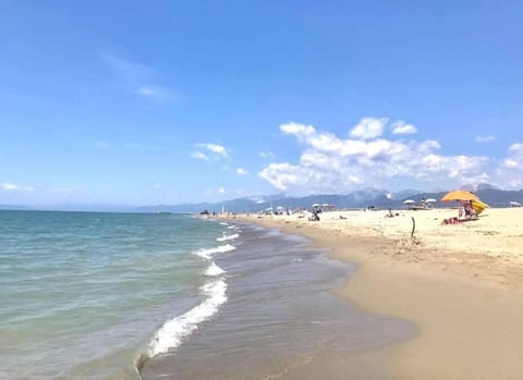 Via Puccini 217 Apartment in Viareggio