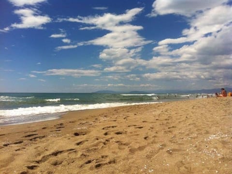 Via Puccini 217 Apartment in Viareggio