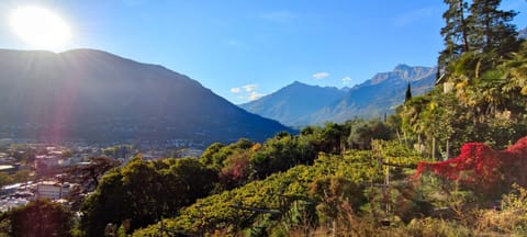 LA LIBELLA - slow living Suites Apartment in Merano