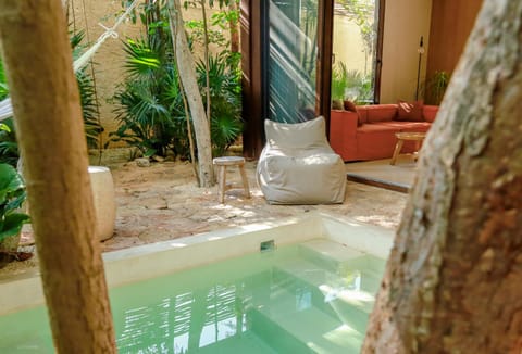 Patio, Natural landscape, Garden, Garden view, Pool view, Swimming pool
