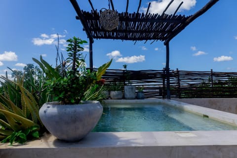 Pool view, Swimming pool