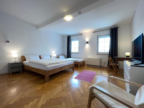 Communal lounge/ TV room, Bed, TV and multimedia, Photo of the whole room, Bedroom, hair dresser