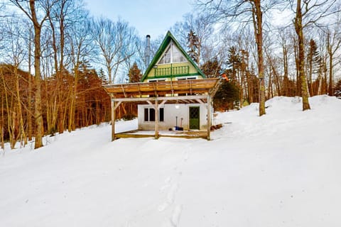 Mt Ellen Super Unit House in Fayston